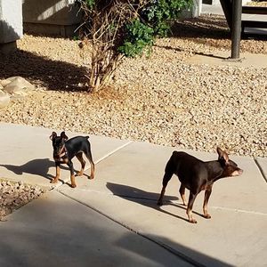 Meet your Posher, Brian